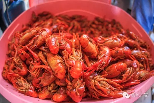 天嬌汽車文化節(jié)-一個(gè)可以吃喝玩樂(lè)的汽車節(jié)！