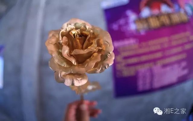 天嬌汽車文化節(jié)-一個(gè)可以吃喝玩樂(lè)的汽車節(jié)！