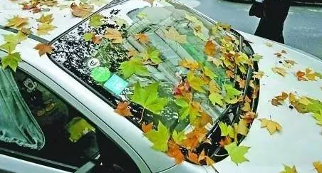 秋季檢查這7 個部件讓愛車告別8個夏季“后遺癥” 秋季檢查這7 個部件讓愛車告別8個夏季“后遺癥”