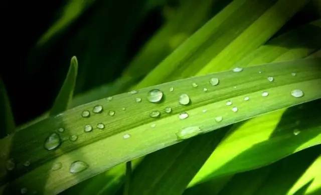 白露丨與CR-V一起，品味秋天的氣息