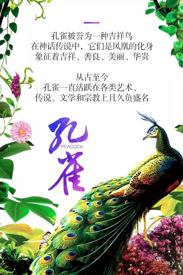 【915-918邵陽(yáng)秋季車(chē)展】鳳臨枝頭，雀雀雀雀雀實(shí)驚艷！