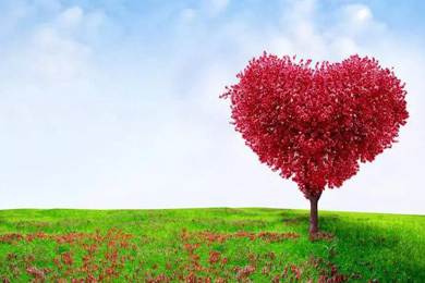 愛(ài)心灑人間，走進(jìn)新時(shí)代..........倒計(jì)時(shí)兩天