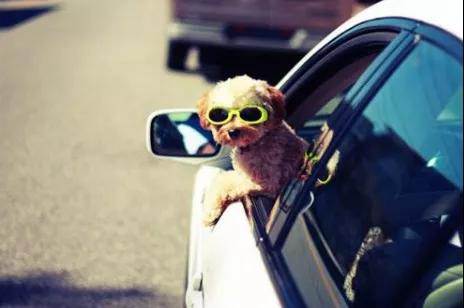 你所不知道的真相，車(chē)窗保養(yǎng)有多重要