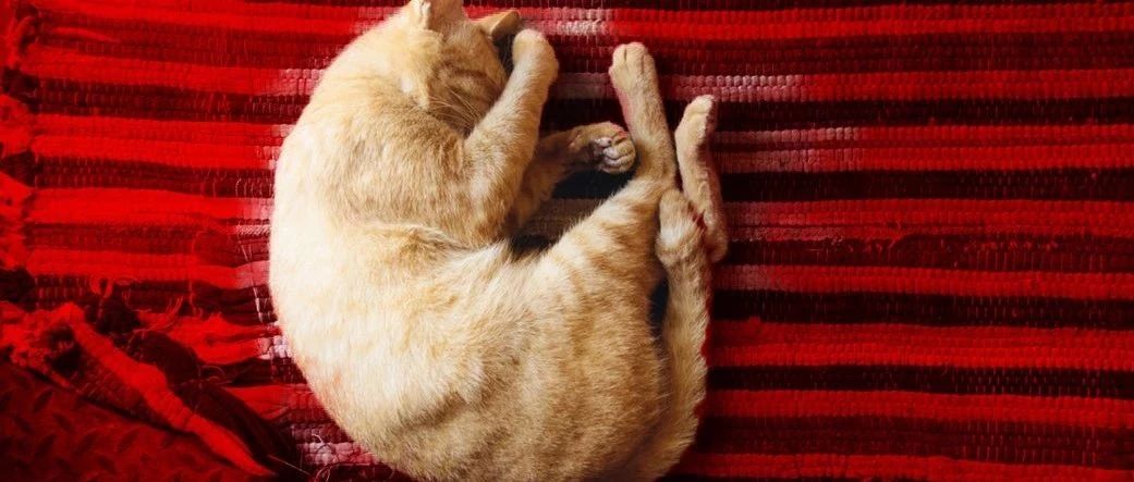 人類發(fā)展的動力，除了懶，還有對舒適的追求