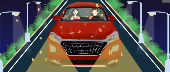 安全清除車(chē)身飛蟲(chóng)，僅需十分鐘