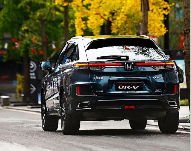 暢游樂逸蓉城，感受市井“慢生活”