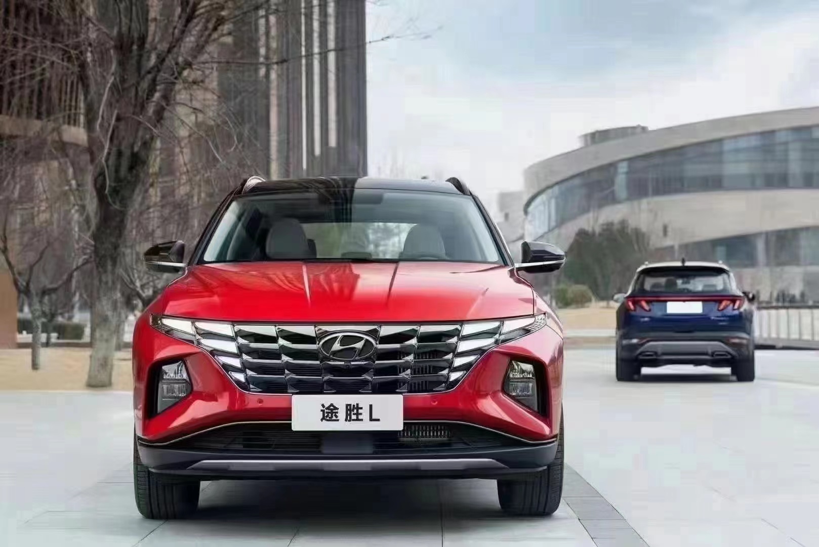 如何呵護(hù)家人，看這兒！