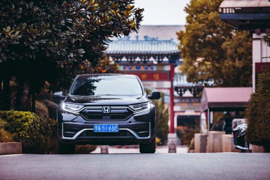 本人有料 | 愿歷經(jīng)千帆，歸來仍是少年